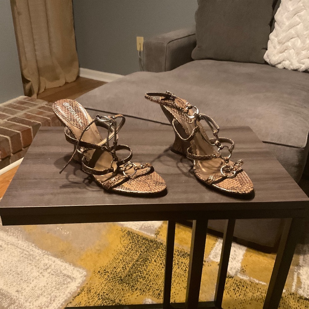 Brown and Black Snake skin